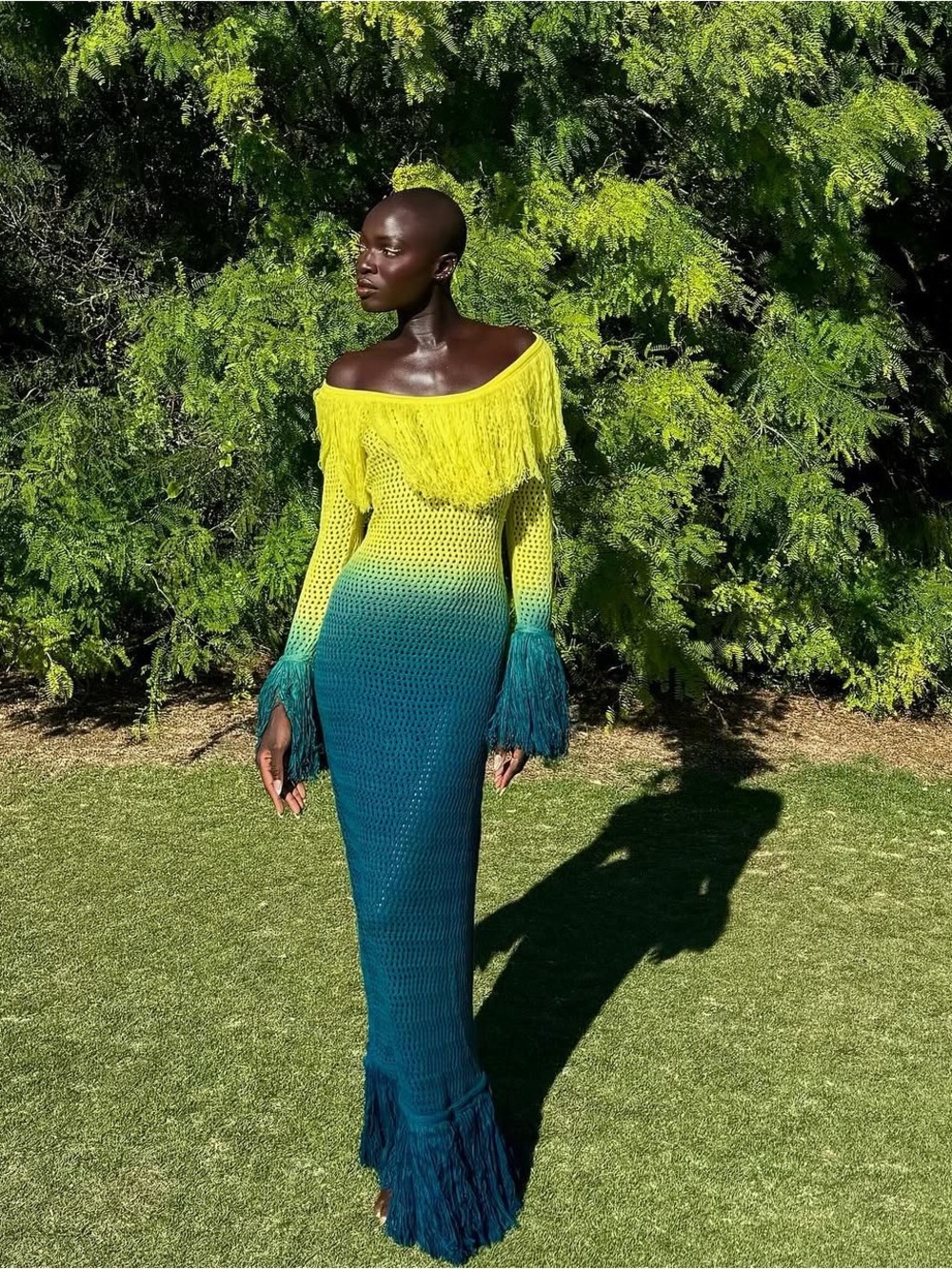 KAI collective knit fringe dress